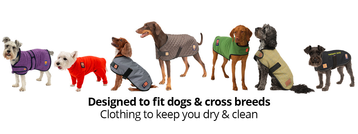 CLOTHING FOR STANDARD DOGS CROSS BREEDS Ginger Ted Ltd