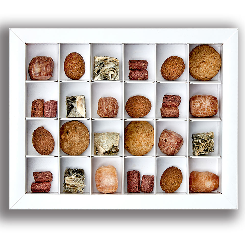 Advent Dog Treat Calendar