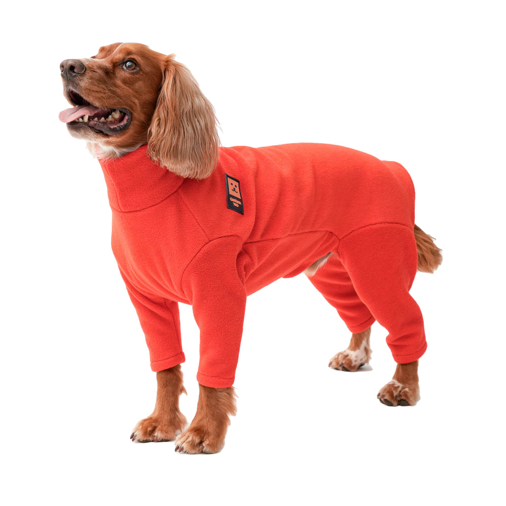 Ginger ted dog coat best sale