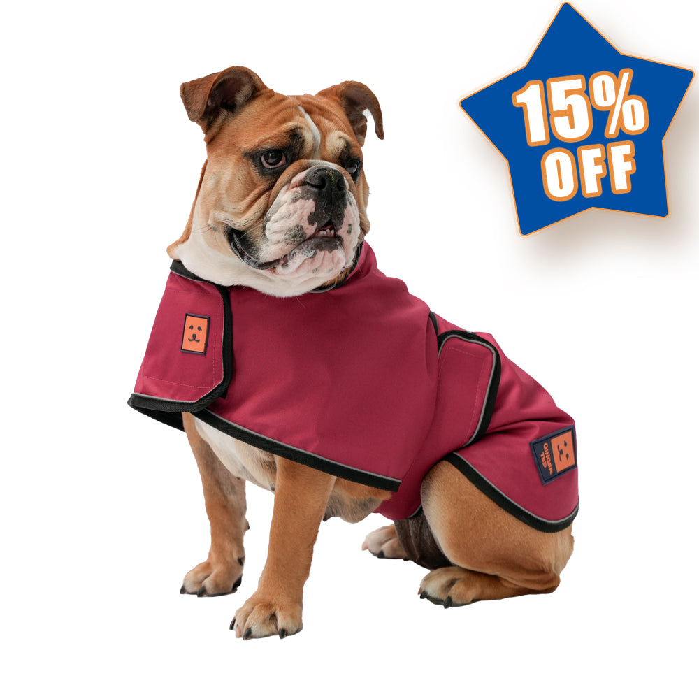 Waterproof Shower Lightweight Bulldog Dog Coat