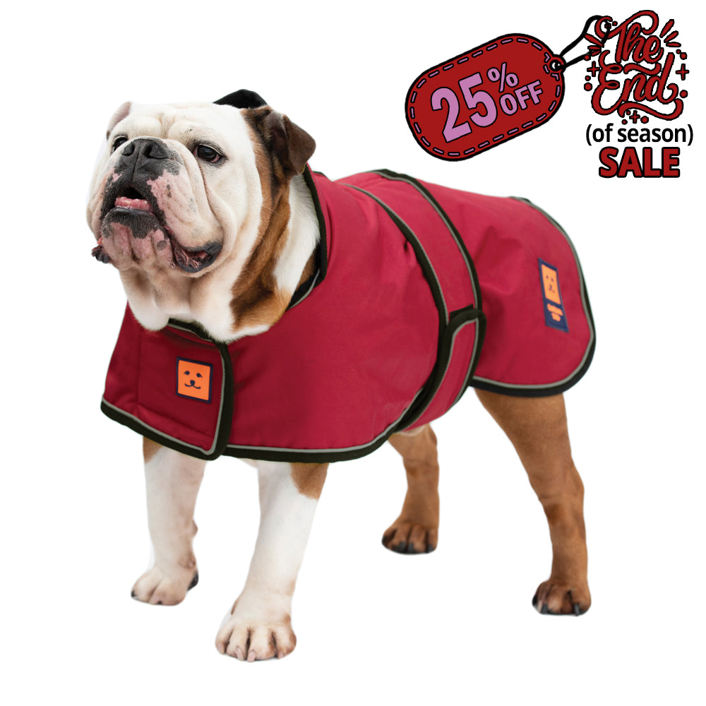 Waterproof Shower Bulldog Coat with Warm Lining