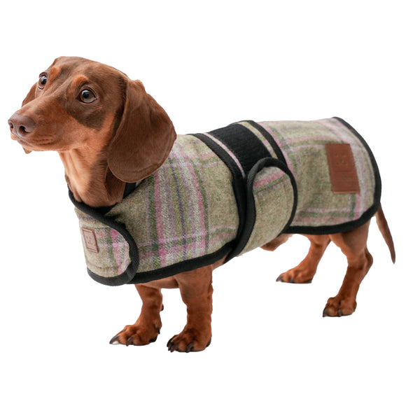 Tweed Dachshund Coat Ginger Ted Ltd