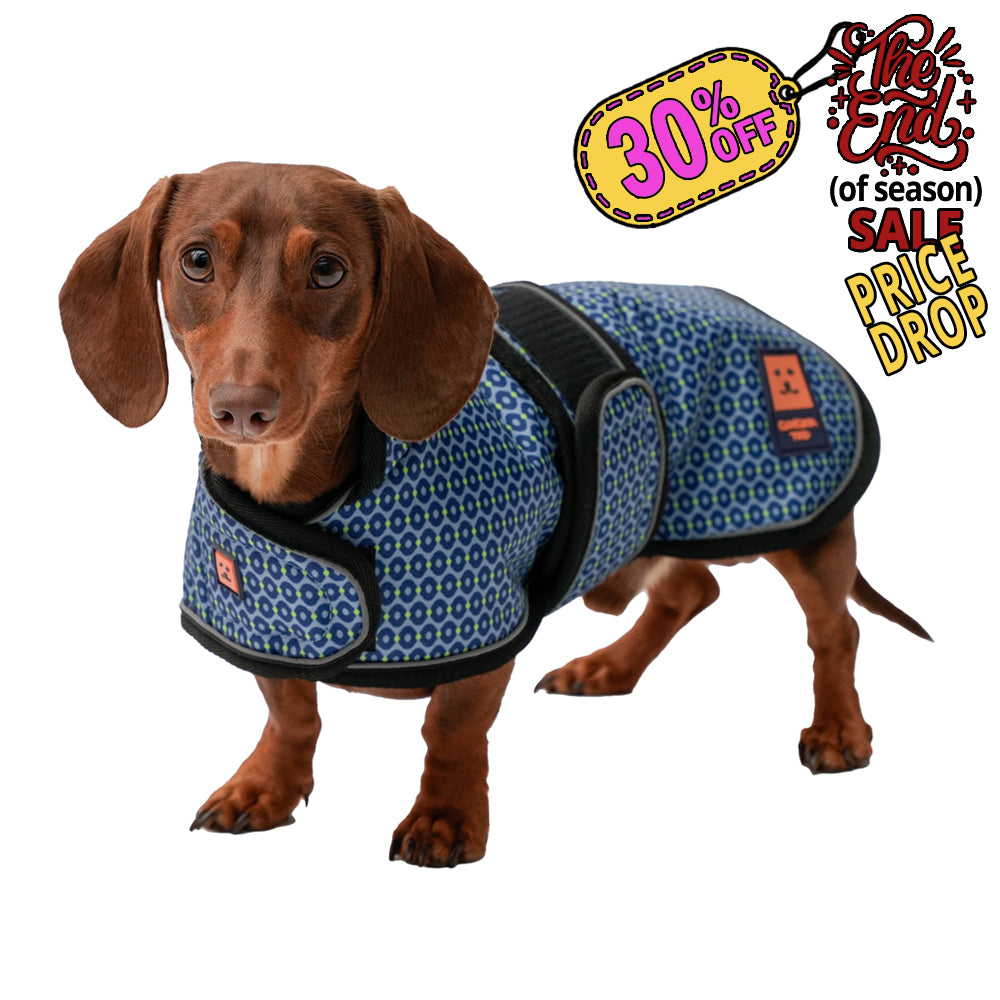 Waterproof Shower Dachshund Dog Coat (Limited Edition Colours) with Warm Lining