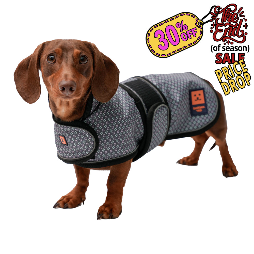 Waterproof Shower Dachshund Dog Coat (Limited Edition Colours) with Warm Lining