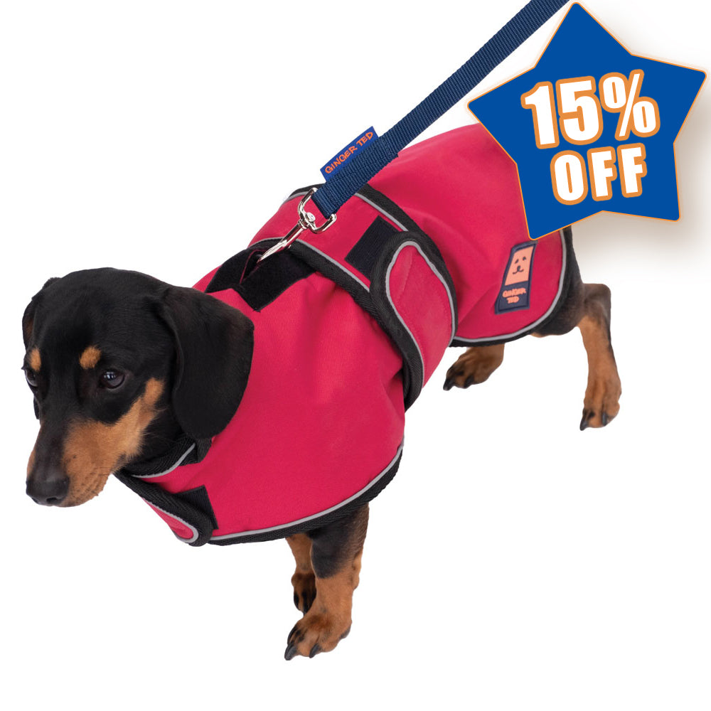 Waterproof Shower Dachshund Harness Dog Coat with Warm Lining