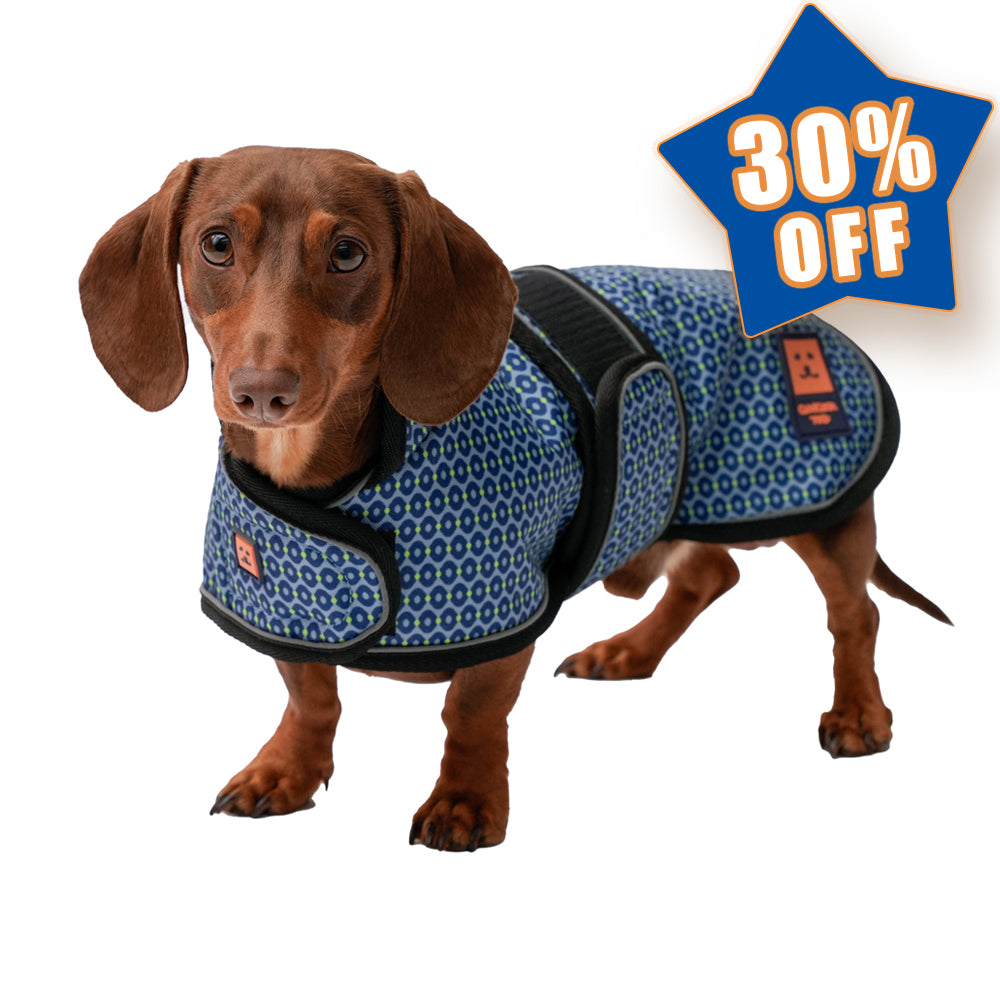 Waterproof Shower Dachshund Dog Coat (Limited Edition Colours) with Warm Lining