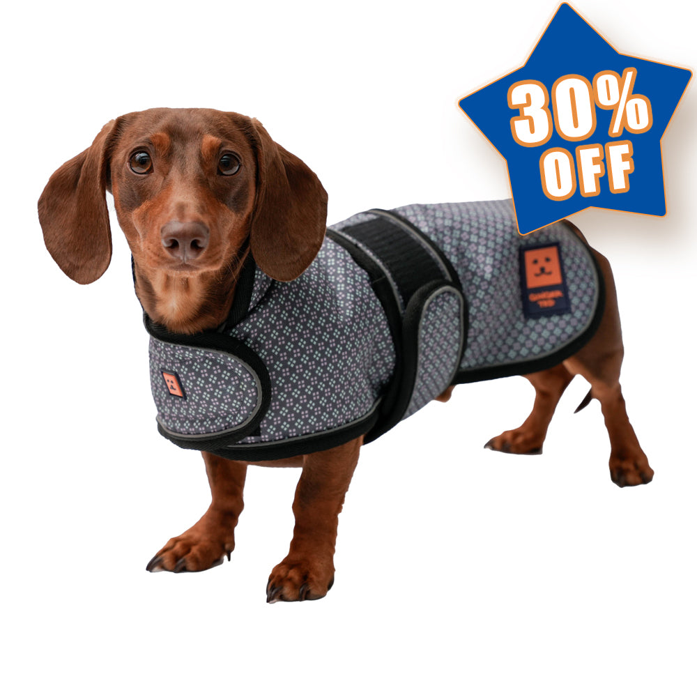 Waterproof Shower Dachshund Dog Coat (Limited Edition Colours) with Warm Lining