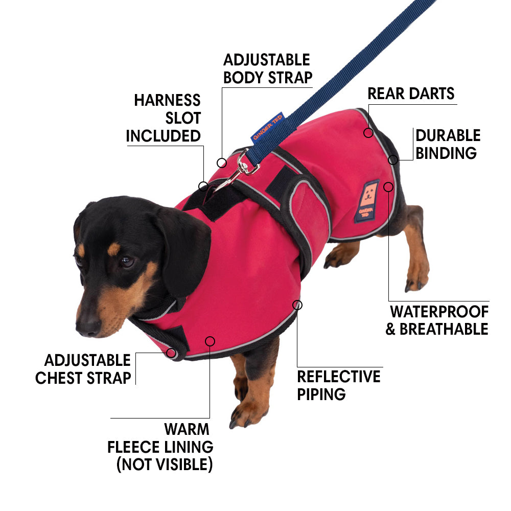 Shower Waterproof Dachshund Harness Coat Ginger Ted Ginger Ted Ltd