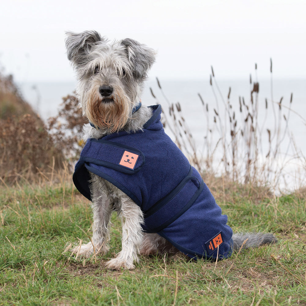 Ginger ted best sale waterproof dog coat