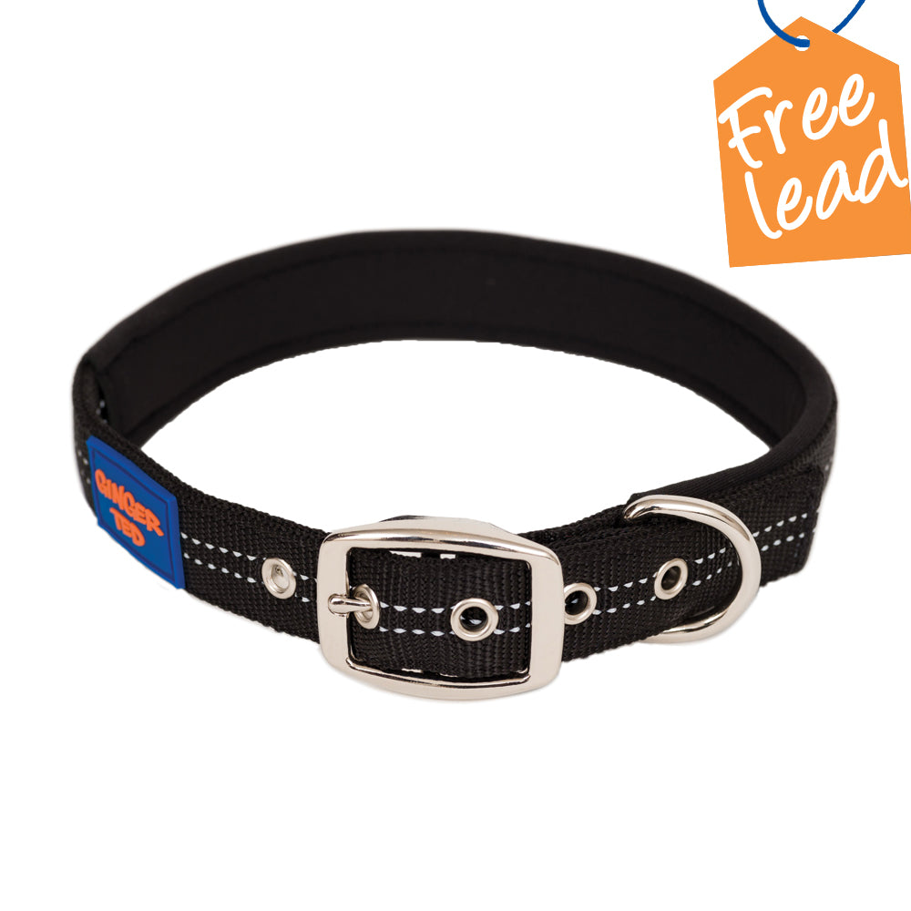 Reflective Comfort Nylon Padded Adjustable Dog Collar