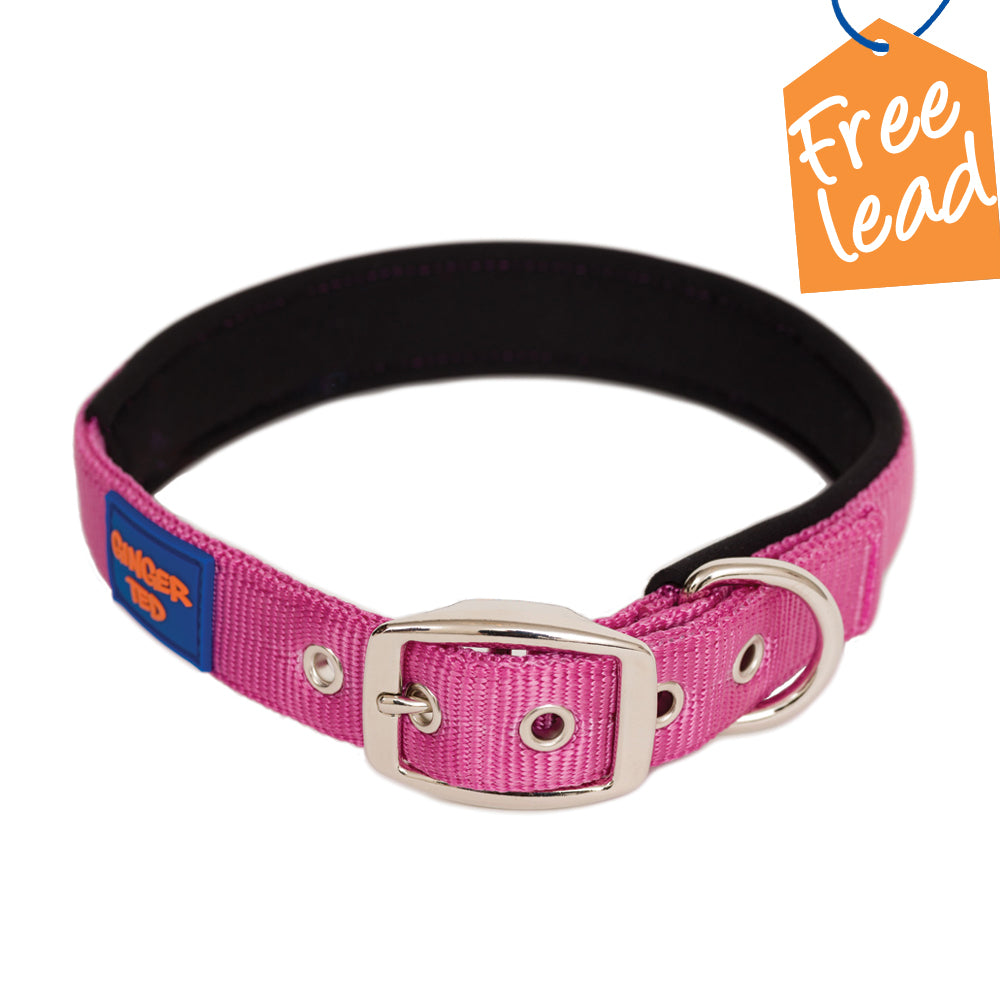 Comfort Nylon Quality Padded Adjustable Dog Collar