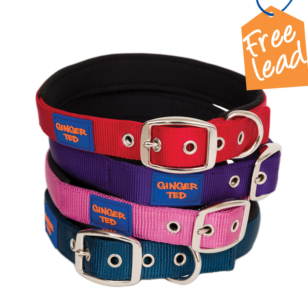 Comfort Nylon Quality Padded Adjustable Dog Collar