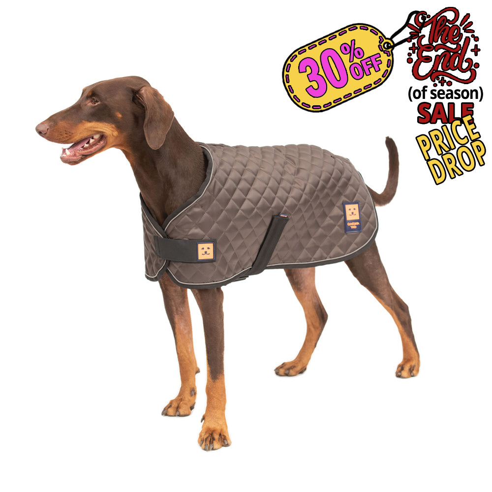 Thermal Harness Quilted Dog Coat