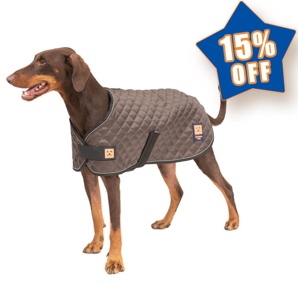 Thermal Harness Quilted Dog Coat