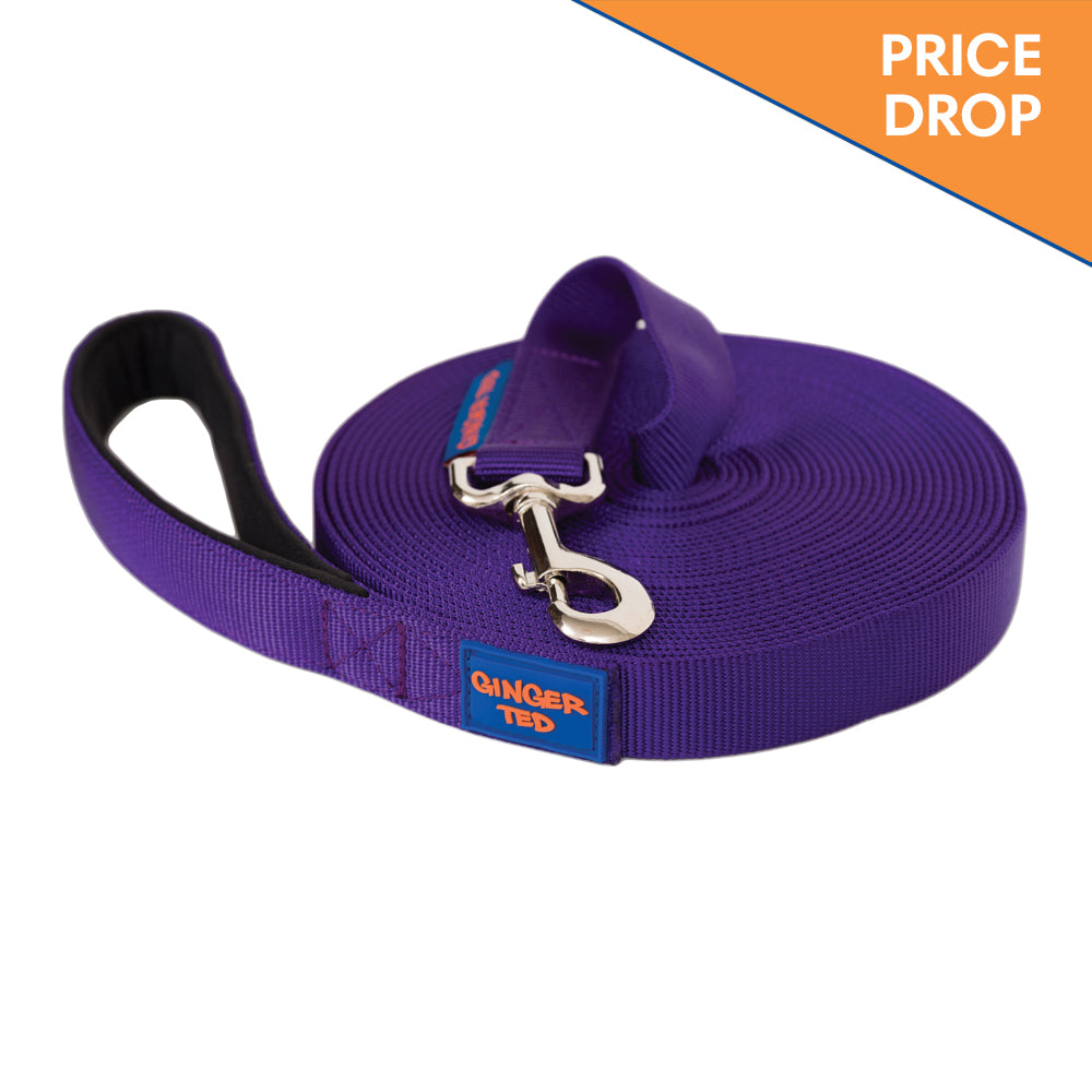 Long dog training outlet lead