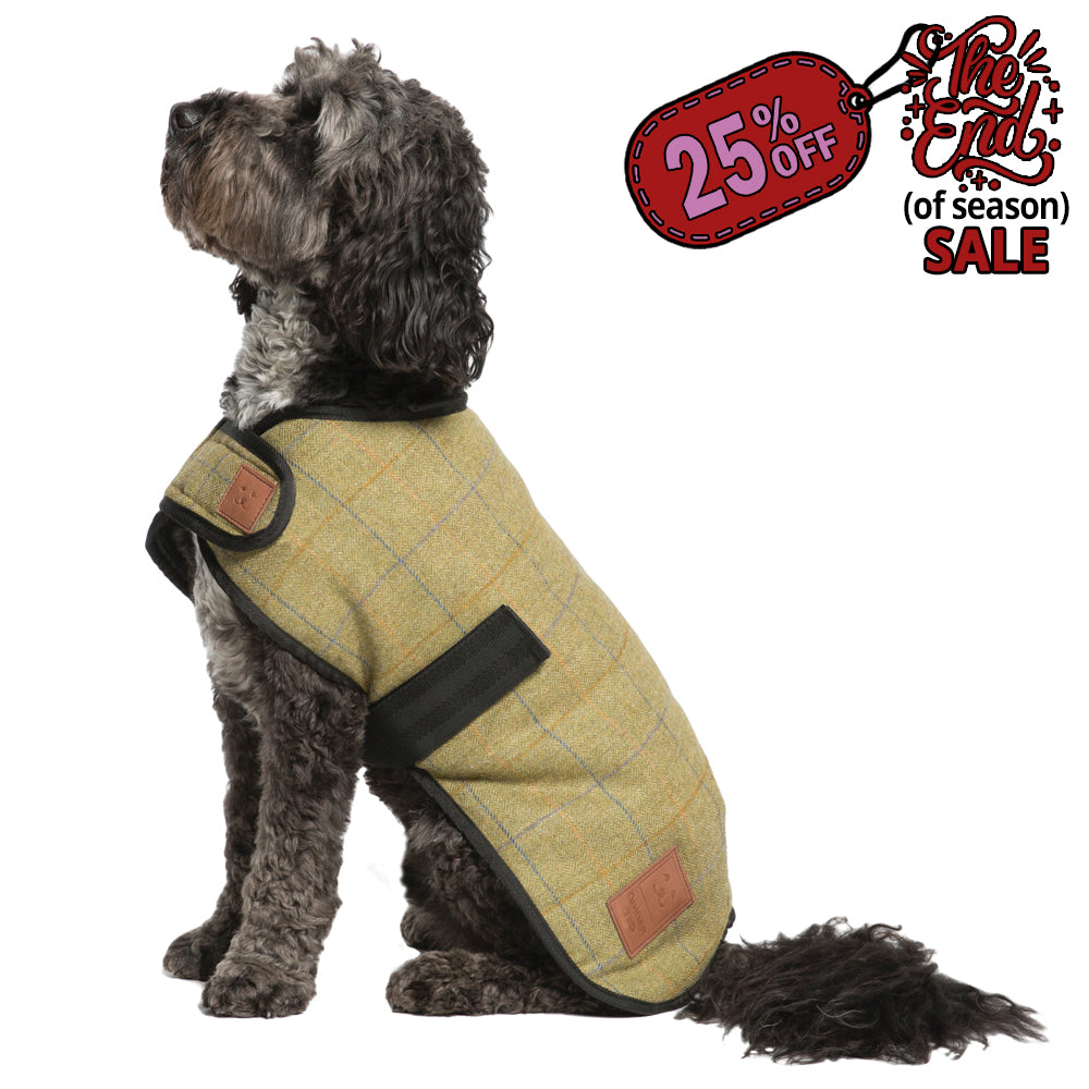 Tweed Dog Coat