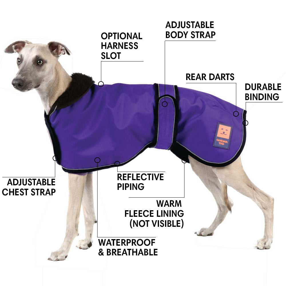 Shower Waterproof Greyhound Whippet Lurcher Coat Ginger Ted Ginger Ted Ltd