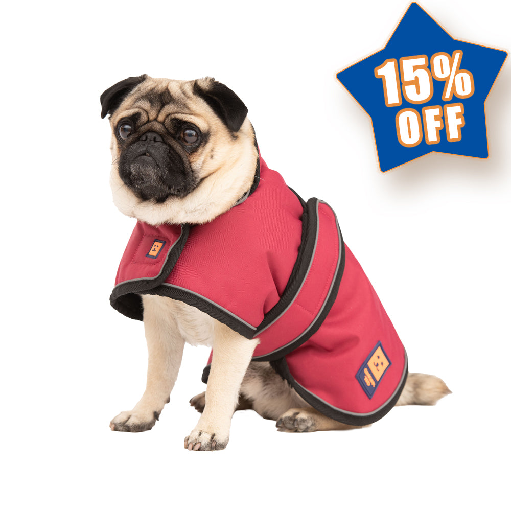 Waterproof Shower Lightweight Pug / Frenchie Dog Coat