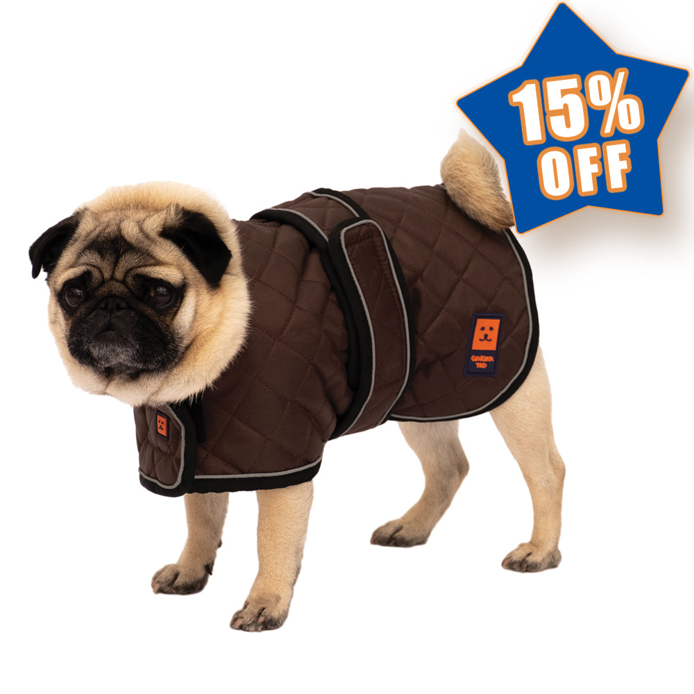 Thermal Harness Pug / Frenchie Coat