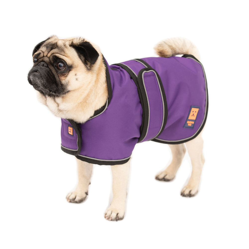 Ginger Ted Dog Clothing, Waterproof Dog Coats & Dog Jumpers