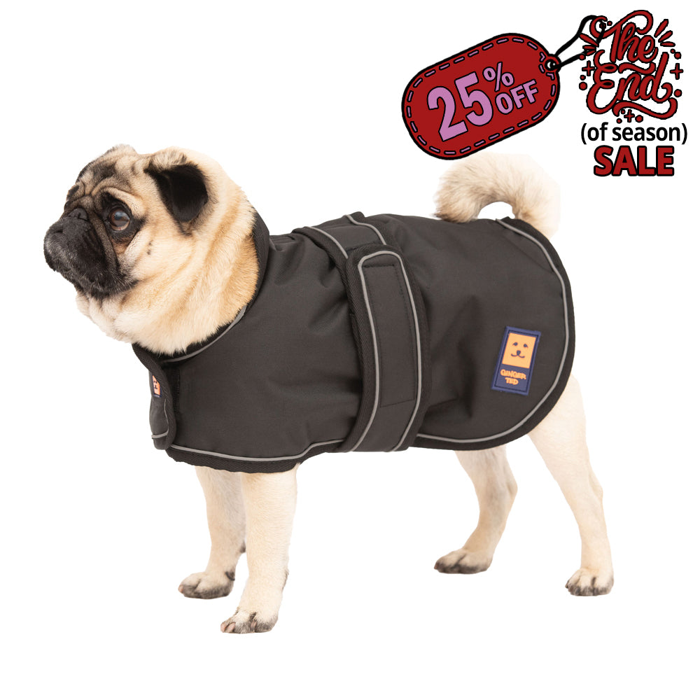 Waterproof Shower Pug / Frenchie Dog Coat with Warm Lining