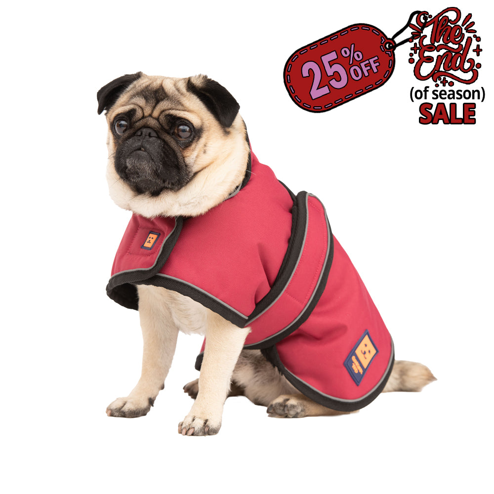 Waterproof Shower Pug / Frenchie Dog Coat with Warm Lining