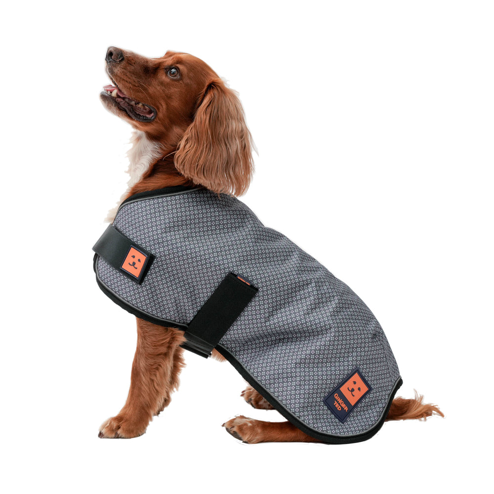 Dog store field jacket