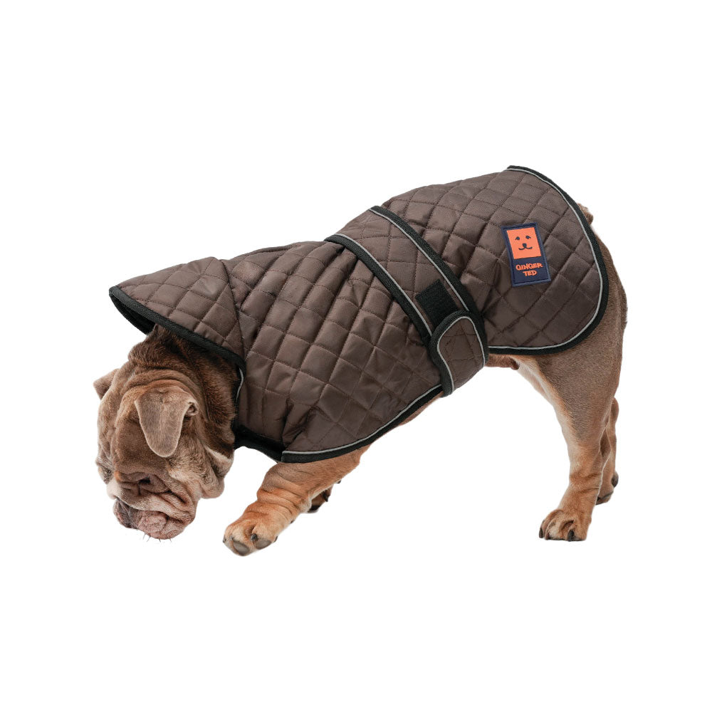 French bulldog winter coat with harness hotsell