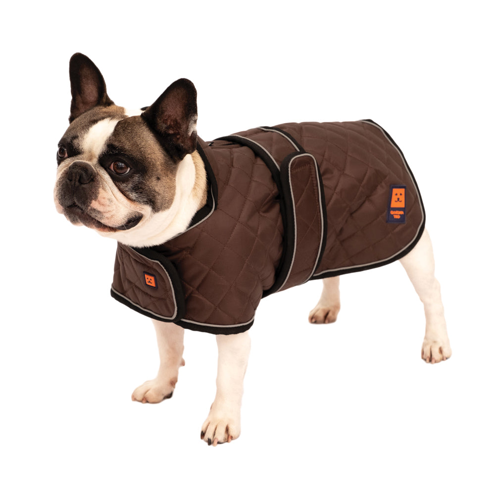 Bulldog coats uk best sale