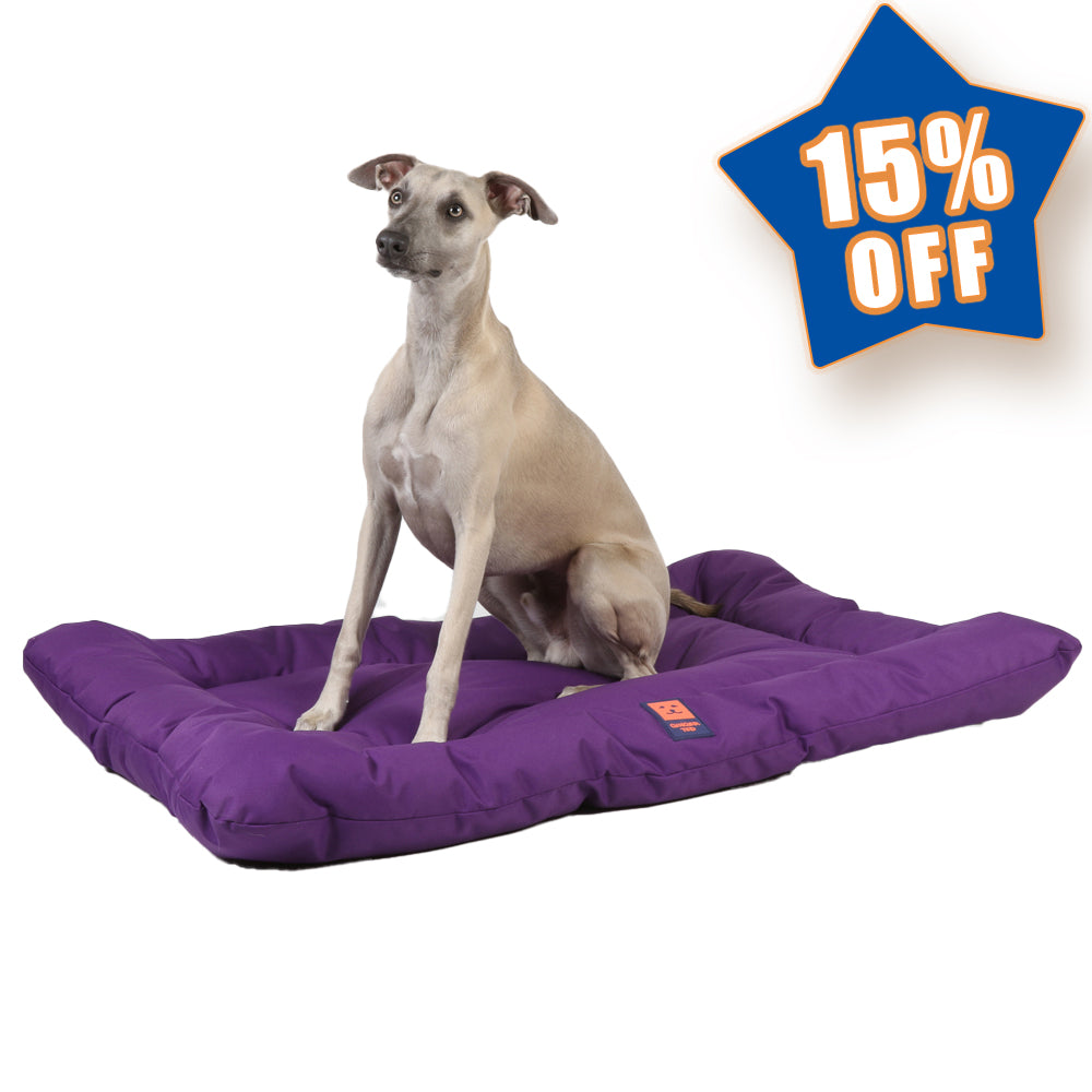 Waterproof Dog Mattress