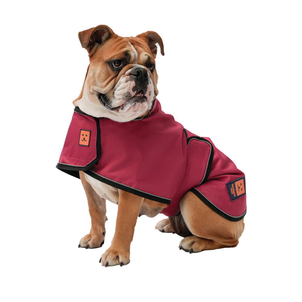 Shower LITE Lightweight Waterproof Bulldog Frenchie Bullterrier Coat Ginger Ted Ginger Ted Ltd