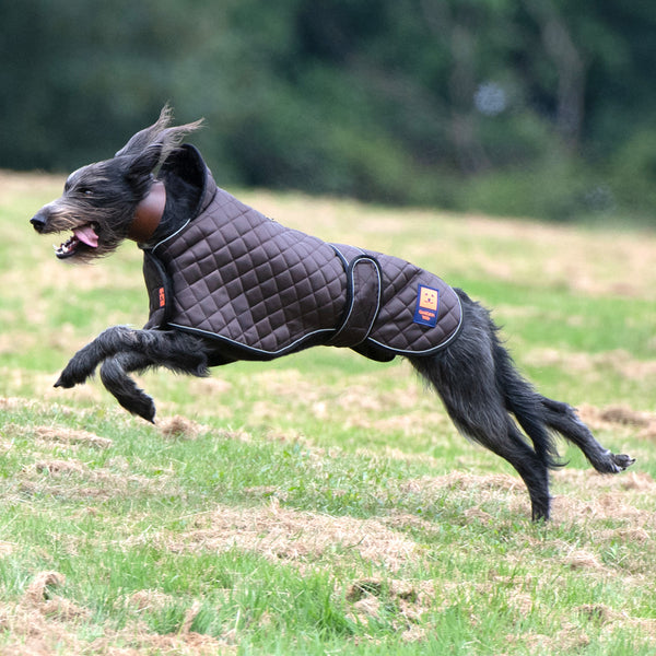 Quilted greyhound sale coat