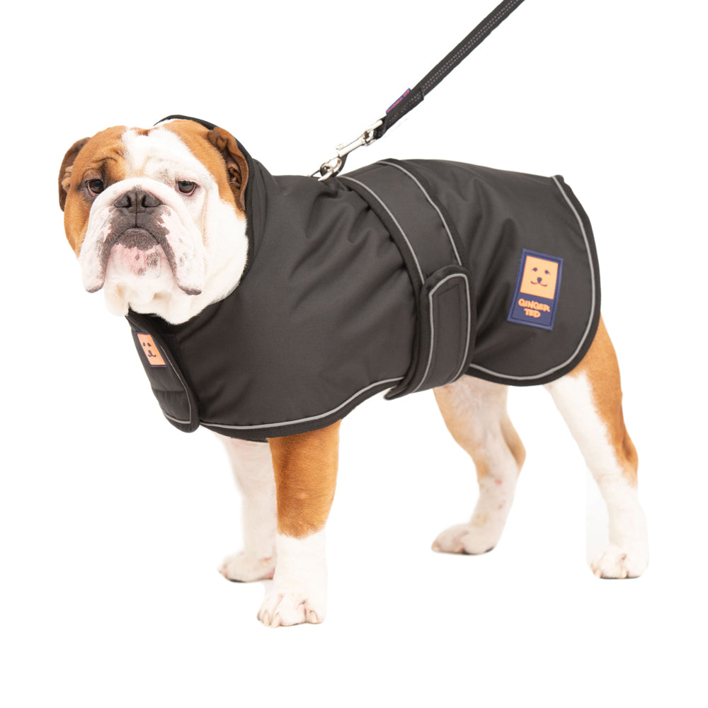 Waterproof Shower Bulldog Coat with Warm Lining