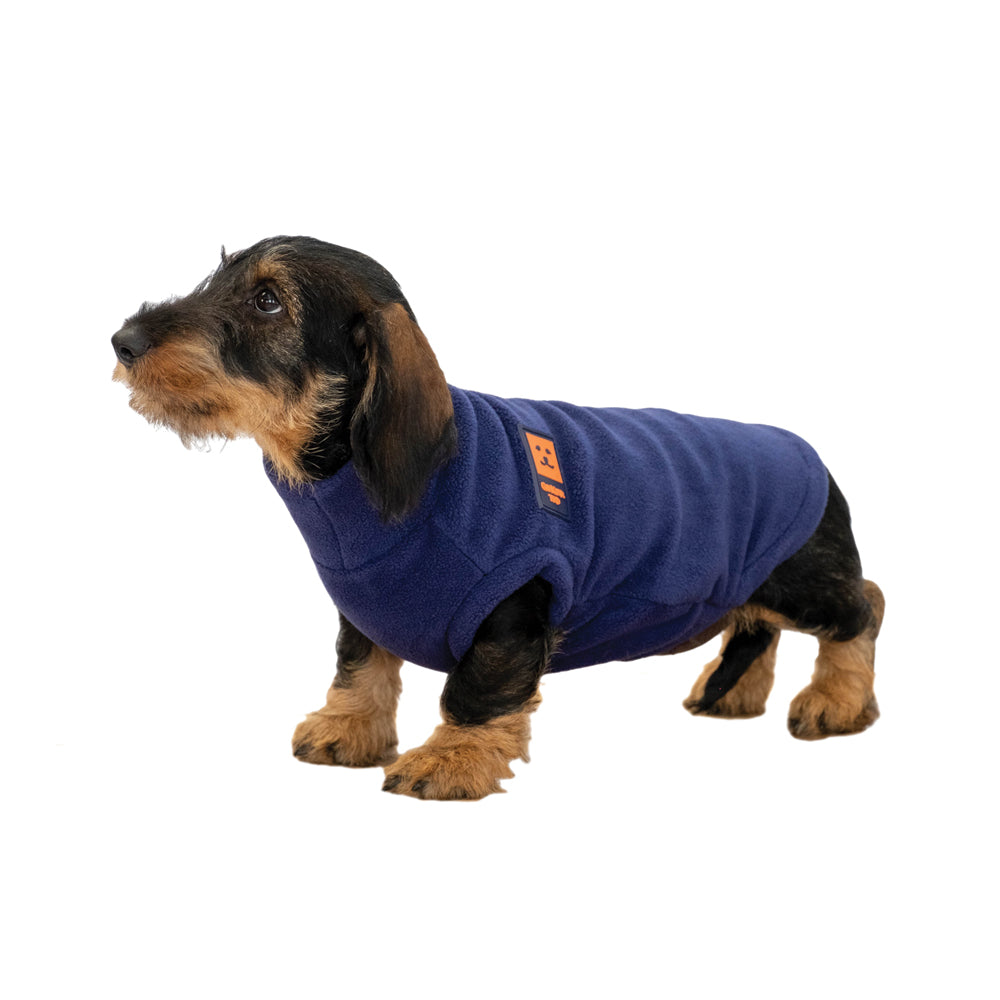 Dog clearance jumper sale