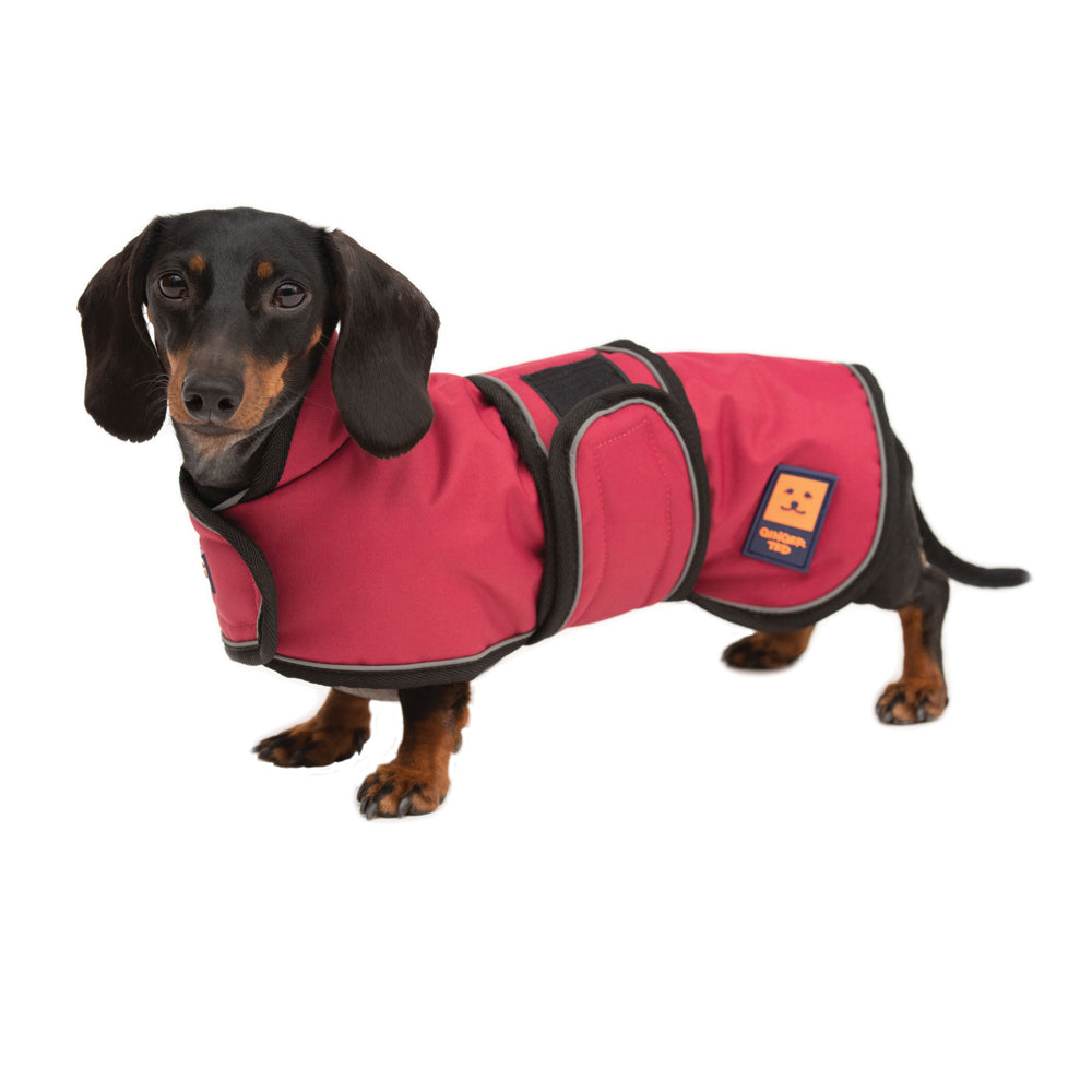 Shower Waterproof Dachshund Coat Ginger Ted Ginger Ted Ltd