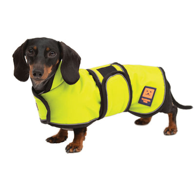 Shower Waterproof Dog Coat | Harness Compatible | Ginger Ted - Ginger ...