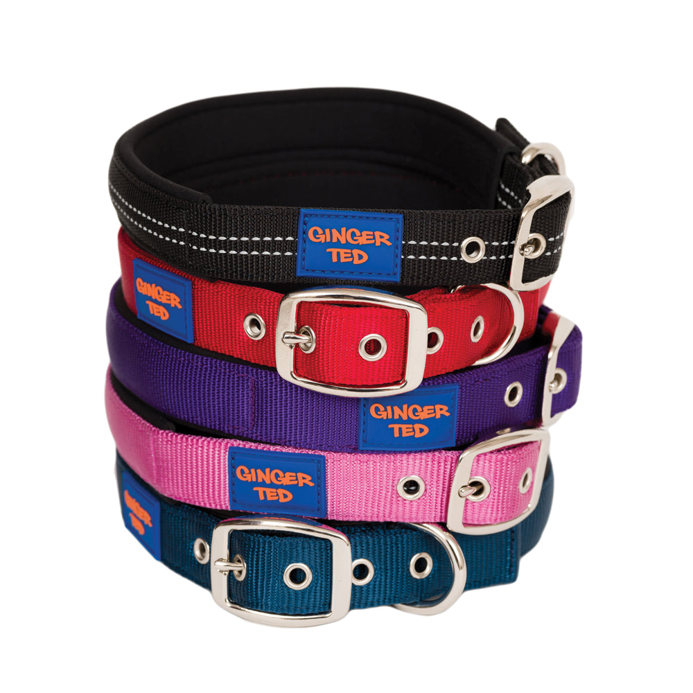 Comfort Nylon Padded Adjustable Dog Collar & Lead Value Pack