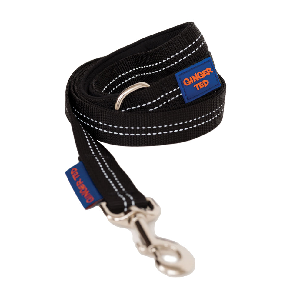 Reflective Comfort Nylon Padded Dog Lead