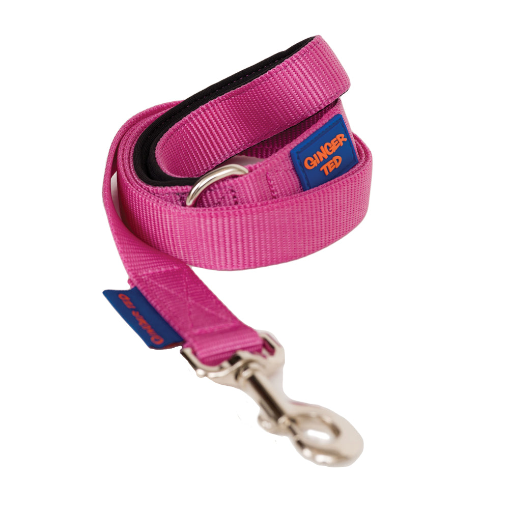 Comfort Nylon Quality Padded Dog Lead