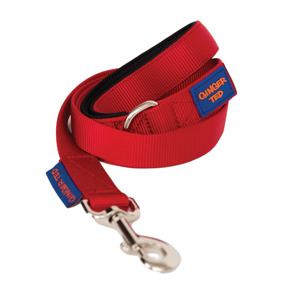 Comfort Nylon Quality Padded Dog Lead