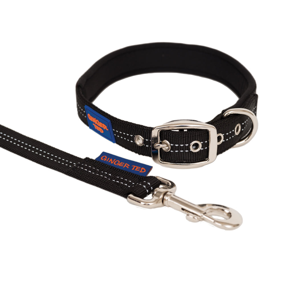 Reflective Comfort Nylon Padded Dog Collar & Lead Value Pack