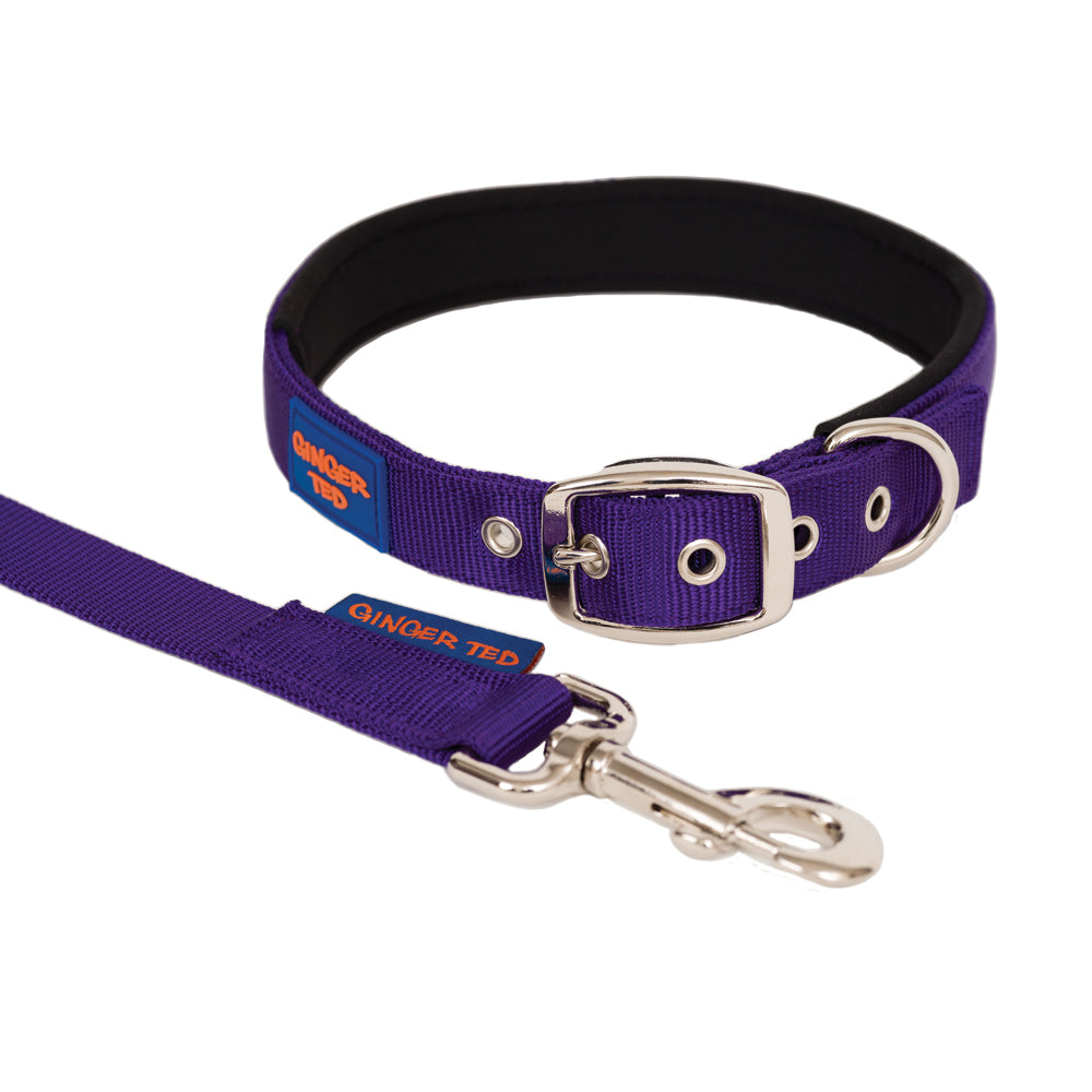 Comfort Nylon Padded Adjustable Dog Collar & Lead Value Pack