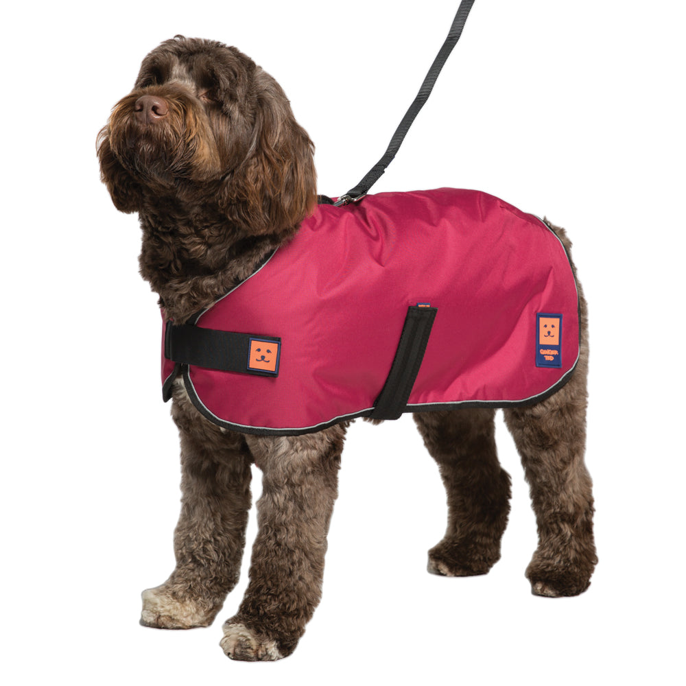 Waterproof Shower Harness Dog Coat with Warm Lining