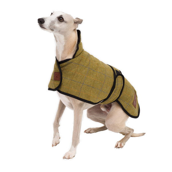 Tweed whippet clearance coat