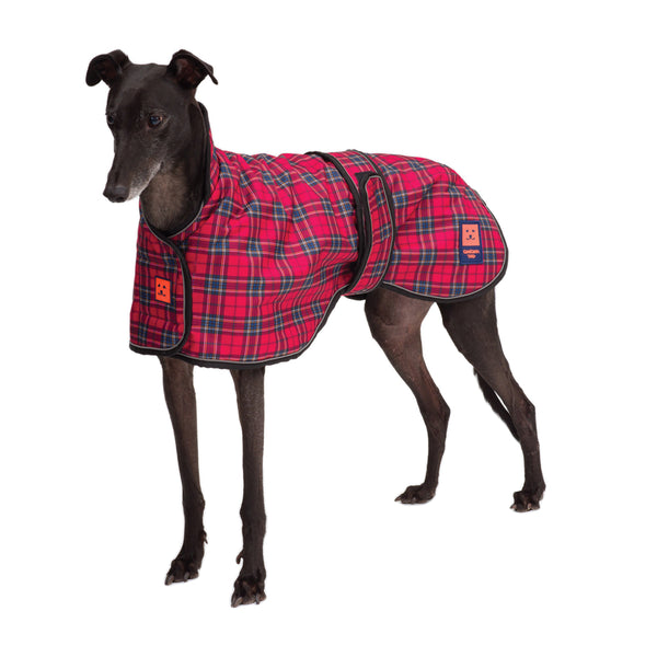 Shower Waterproof Greyhound Whippet Lurcher Coat | Ginger Ted - Ginger ...