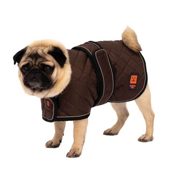 Dog coats shop for pugs